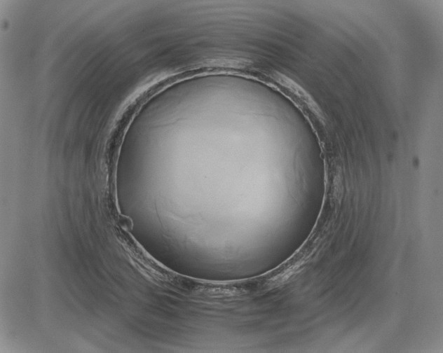 X0000083621027200702260948