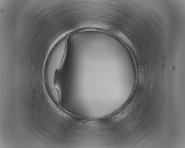 X0000083621028200702260948