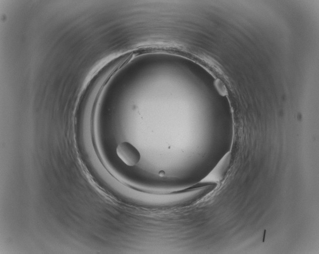 X0000083621030200702260948