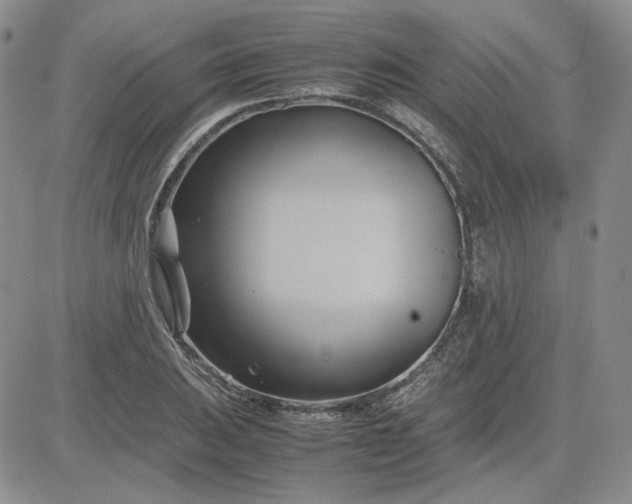 X0000083621031200702260948