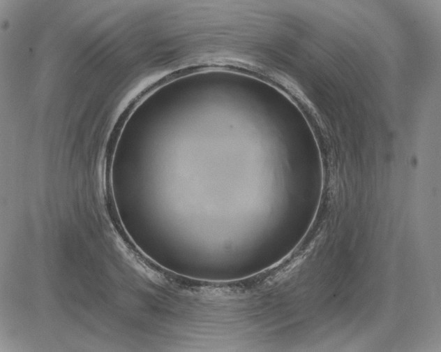 X0000083621032200702260948