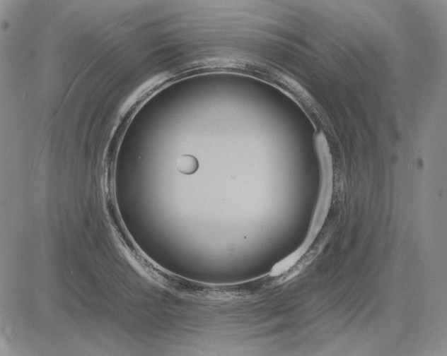 X0000083621034200702260948