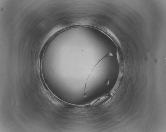 X0000083621035200702260948