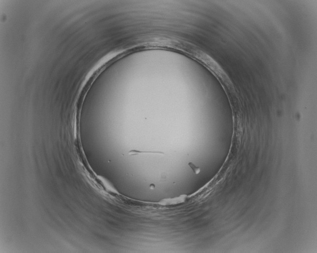 X0000083621036200702260948