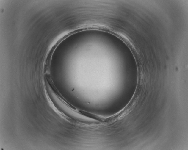 X0000083621038200702260948