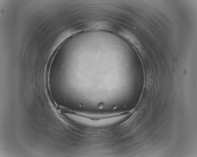 X0000083621039200702260948