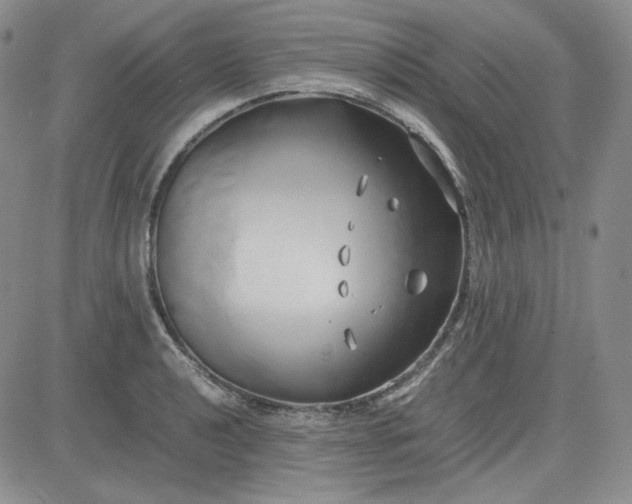 X0000083621040200702260948