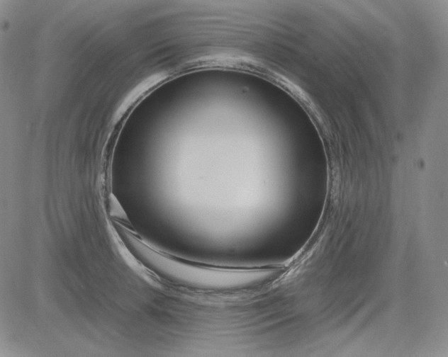 X0000083621042200702260948