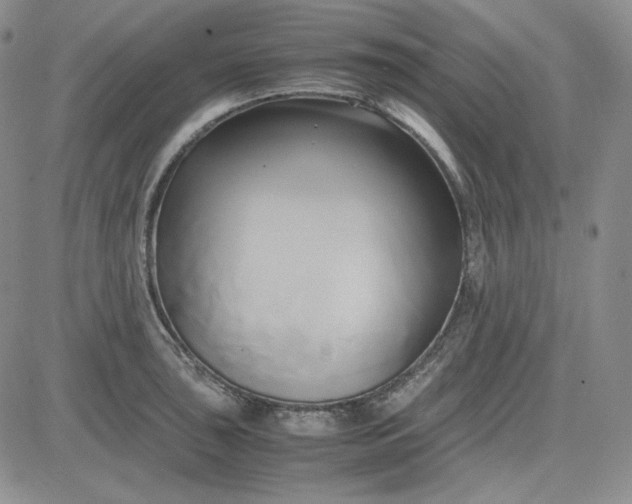 X0000083621043200702260948