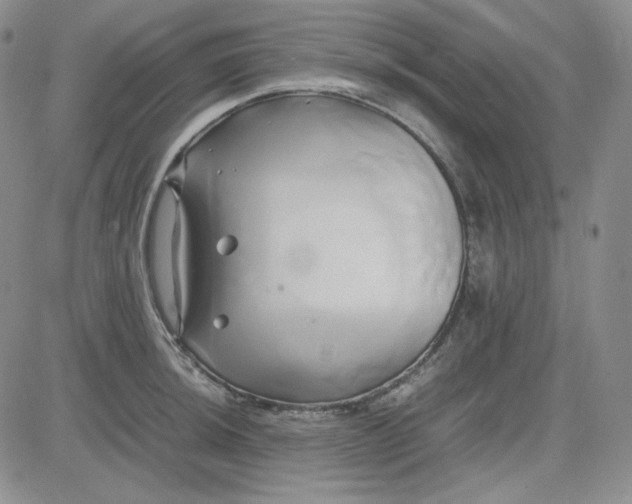 X0000083621044200702260948