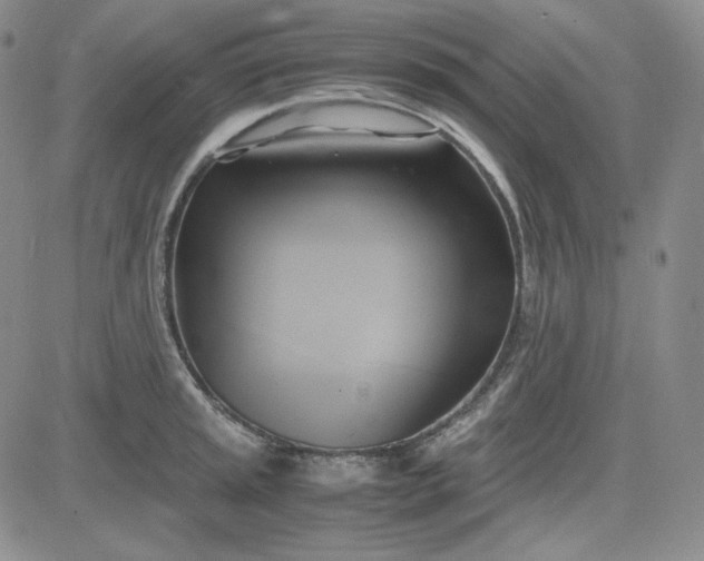 X0000083621045200702260948