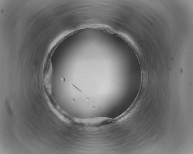 X0000083621046200702260948