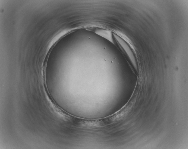 X0000083621047200702260948