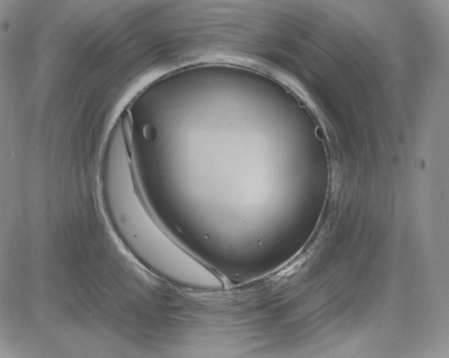 X0000083621048200702260948