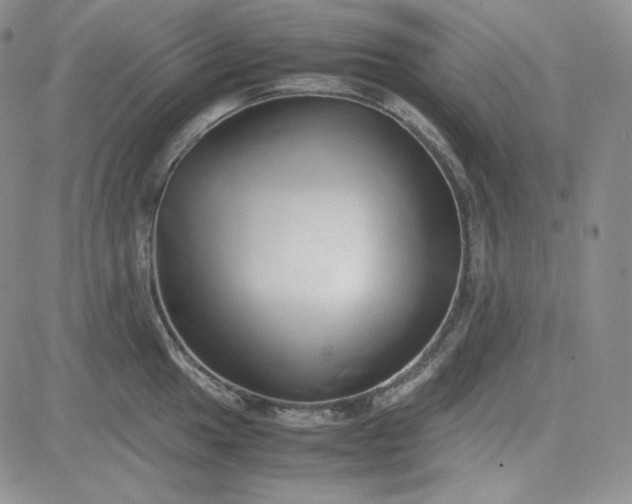 X0000083621049200702260948