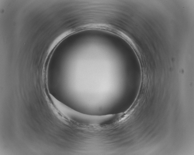 X0000083621050200702260948