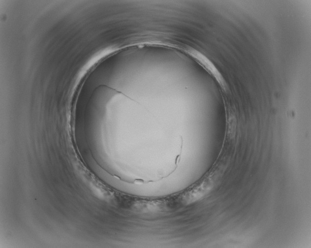 X0000083621051200702260948