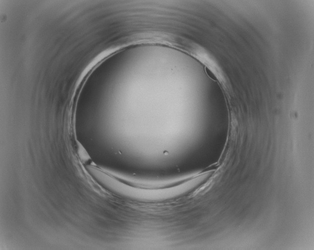 X0000083621052200702260948