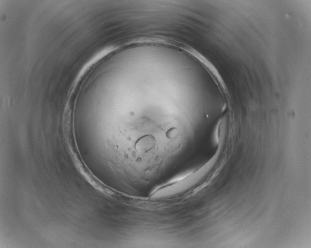 X0000083621053200702260948