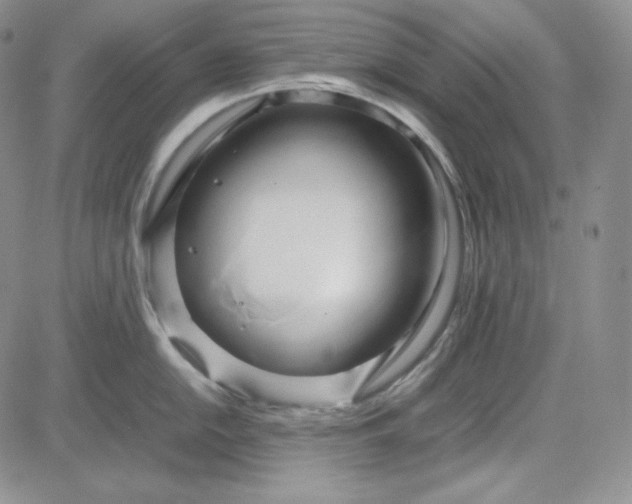 X0000083621054200702260948