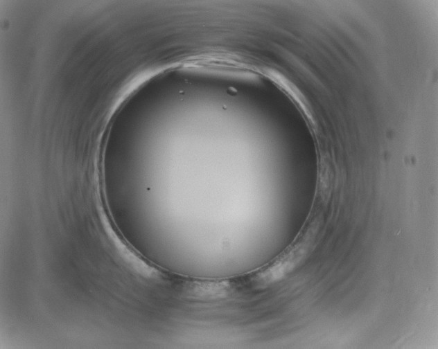 X0000083621055200702260948