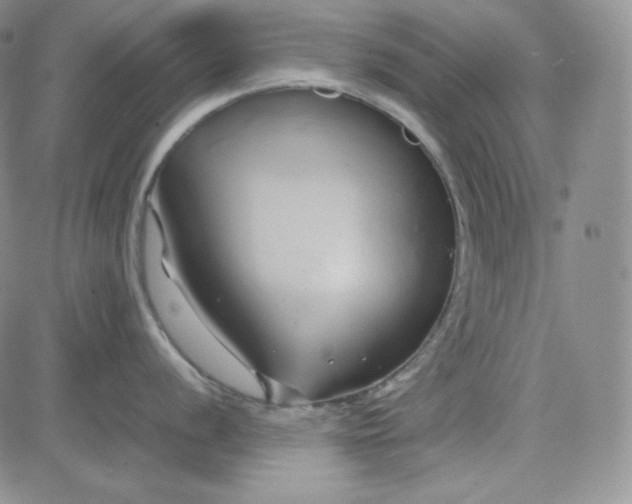 X0000083621056200702260948