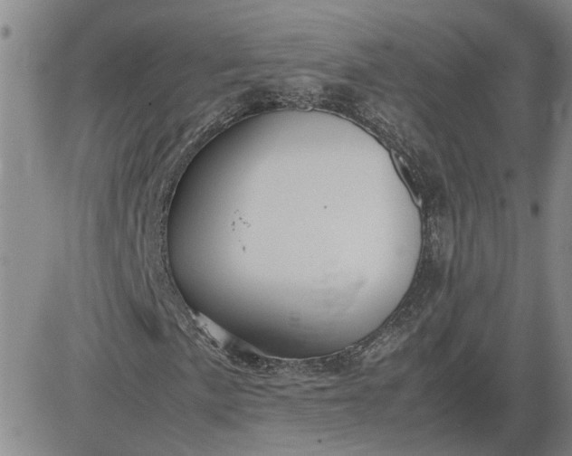 X0000083621057200702260948