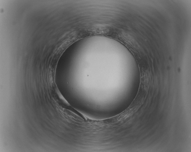 X0000083621058200702260948