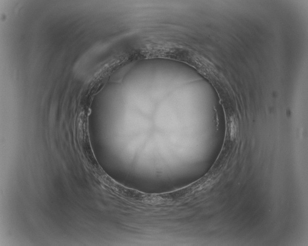 X0000083621059200702260948