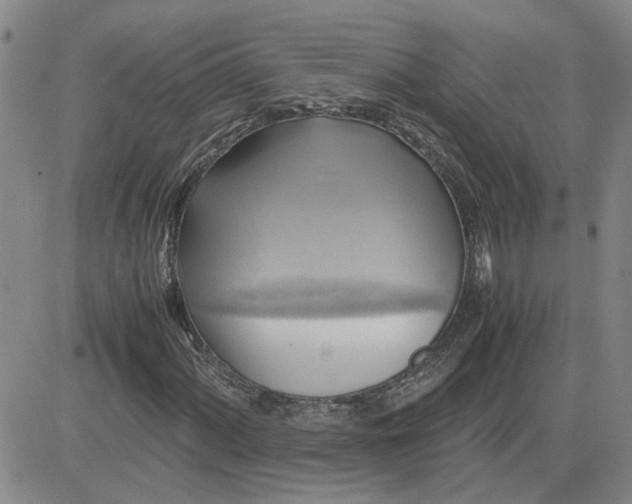 X0000083621060200702260948