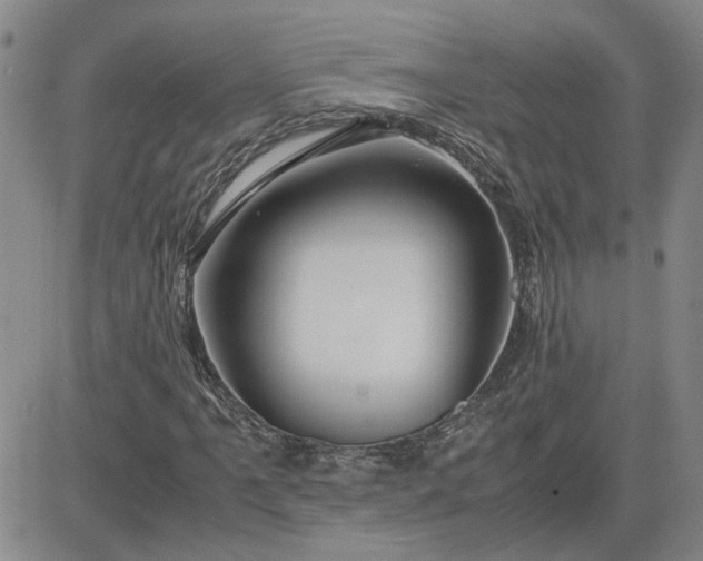 X0000083621061200702260948