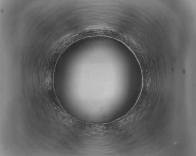 X0000083621062200702260948