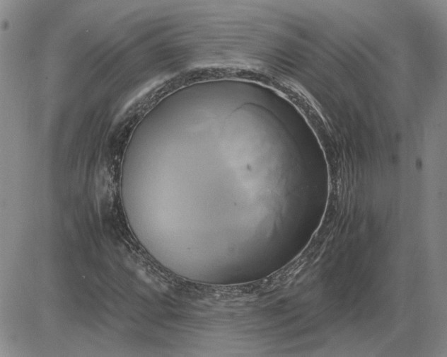 X0000083621064200702260947