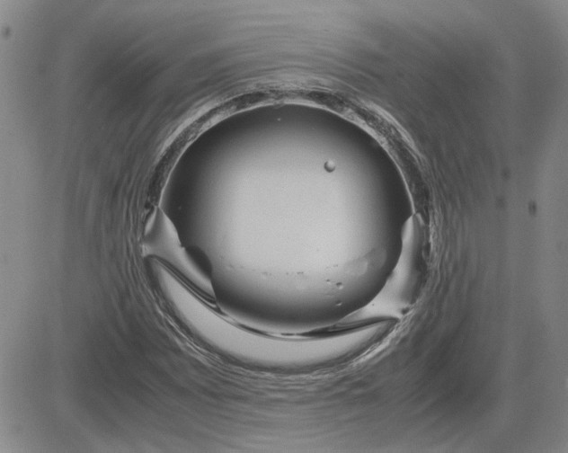 X0000083621065200702260947