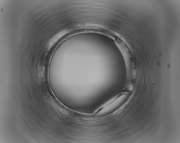 X0000083621066200702260947