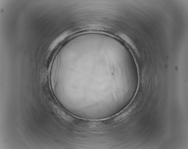 X0000083621067200702260947