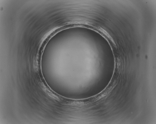 X0000083621068200702260947