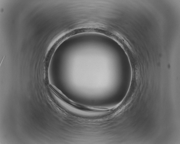 X0000083621069200702260947