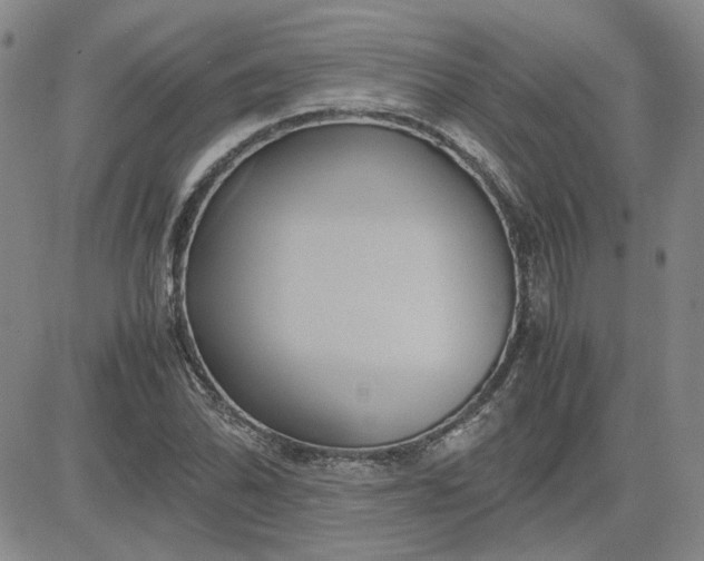 X0000083621070200702260947