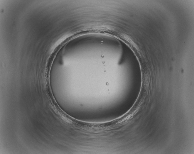 X0000083621071200702260947