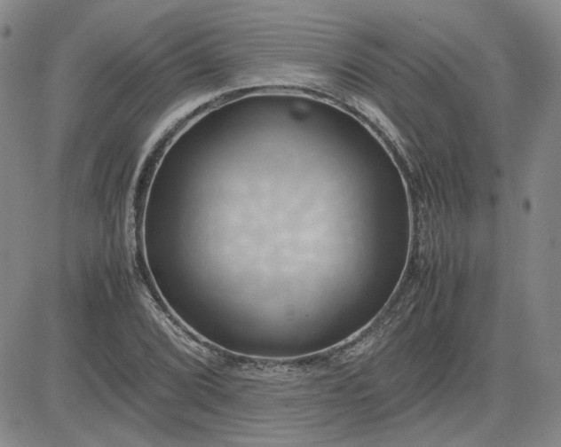 X0000083621072200702260947