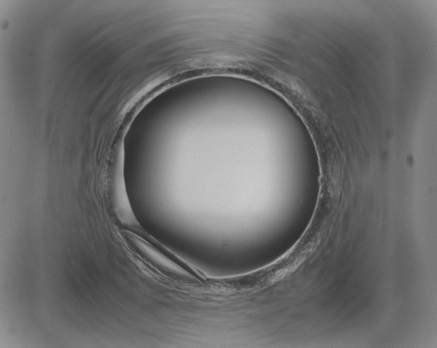 X0000083621073200702260947