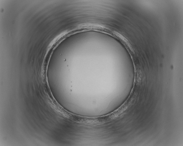 X0000083621074200702260947