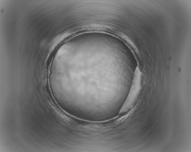 X0000083621075200702260947