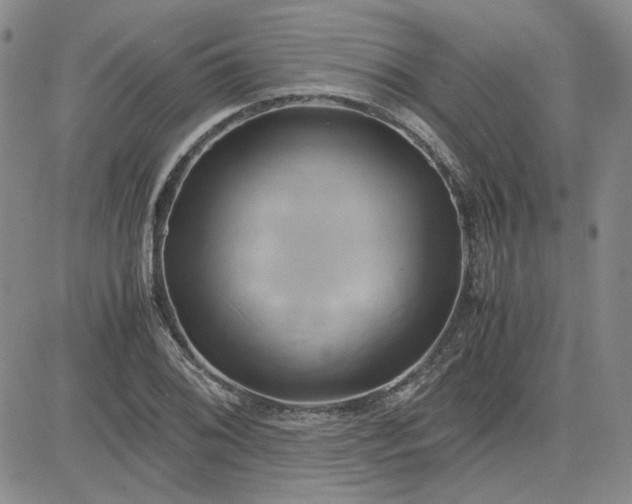 X0000083621076200702260947