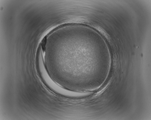 X0000083621077200702260947