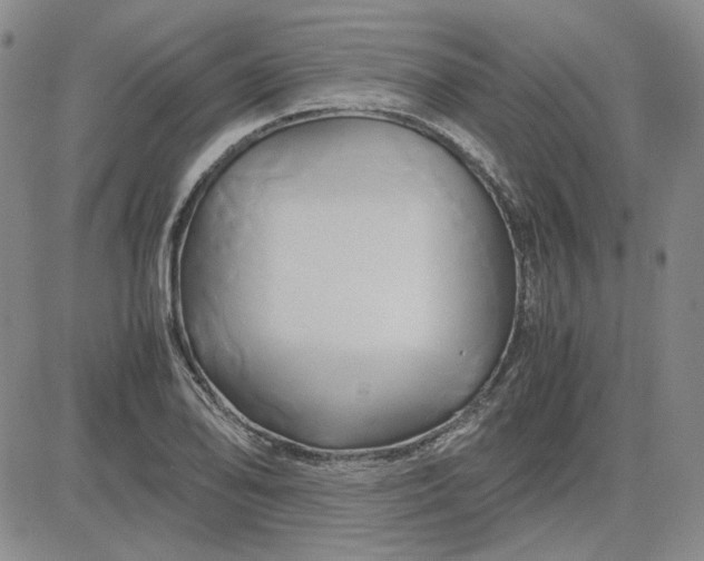 X0000083621078200702260947