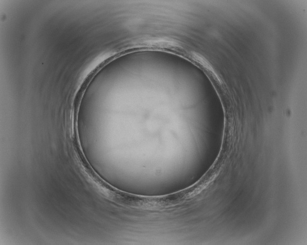 X0000083621079200702260947