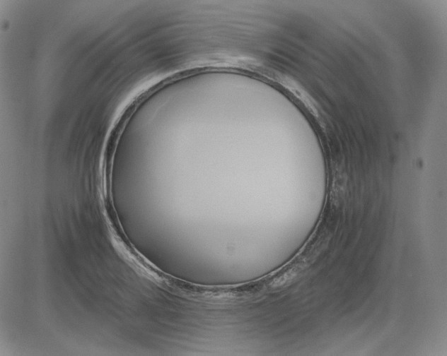 X0000083621080200702260947