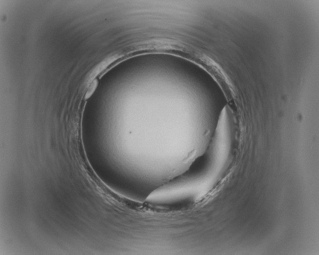 X0000083621081200702260947